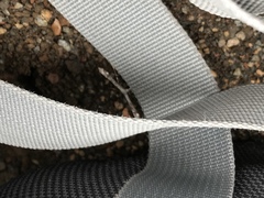 Stenoptilodes littoralis