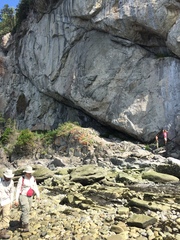 Boechera quebecensis