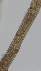 Sphacelaria rigidula