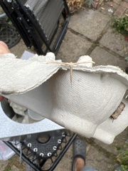 Gillmeria pallidactyla