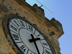 Ptyonoprogne rupestris