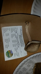 Lactarius cinereus