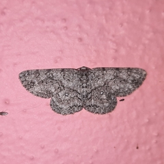 Ophthalmitis caritaria
