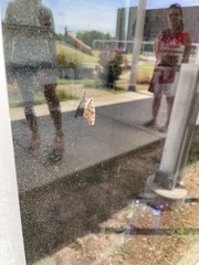 Libytheana carinenta