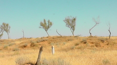 Haloxylon persicum