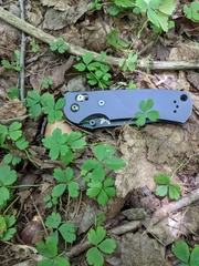 Anemonoides quinquefolia