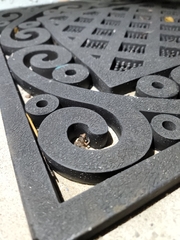 Eleutherodactylus planirostris