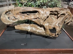 Edmontosaurus