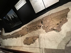 Edmontosaurus