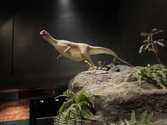 Ornithischia