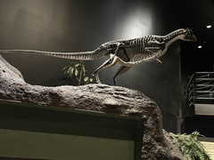 Ornithischia