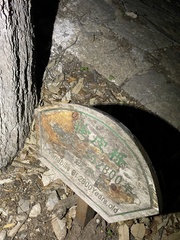 Quercus variabilis