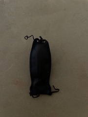 Haploblepharus pictus