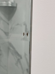 Drosophila immigrans