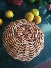 Monstera deliciosa