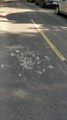 Gorsachius melanolophus