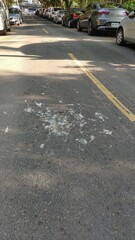 Gorsachius melanolophus