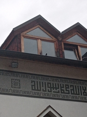 Phoenicurus phoenicurus