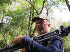 Thespieus aspernatus