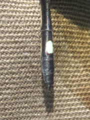 Macrothemis inequiunguis