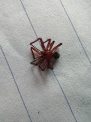 Nesticodes rufipes