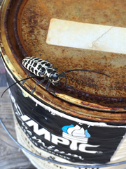 Plectrodera scalator