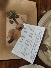 Lactarius quietus incanus