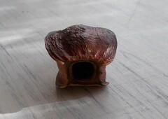 Eucalyptus rhodantha