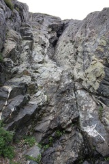 Sullivantia hapemanii