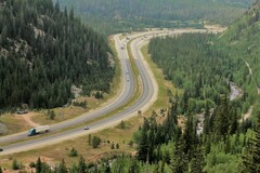 Sullivantia hapemanii