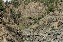 Sullivantia hapemanii