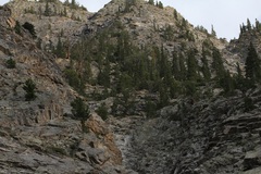 Sullivantia hapemanii