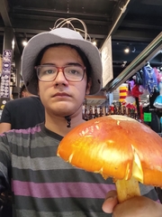 Amanita basii