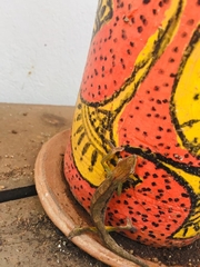 Chamaeleonidae