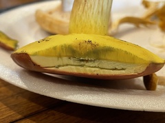 Boletus miniatopallescens