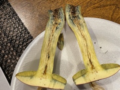 Boletus miniatopallescens