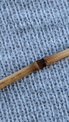 Cynosurus cristatus