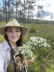 Sabatia macrophylla macrophylla