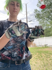 Thamnophis elegans vagrans