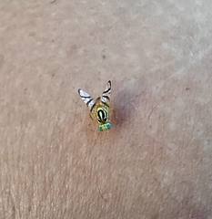 Zonosemata vittigera