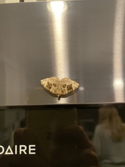 Gandaritis atricolorata