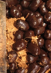 Cephalophorus natalensis natalensis