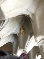 Cyclophora annularia