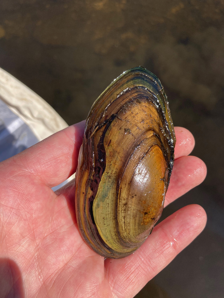 Lake Floater from Thunder Bay District, ON, Canada on July 17, 2022 at ...