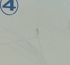 Zygoptera