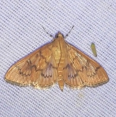 Psara