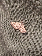 Elophila scitalis