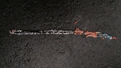 Amphisbaena fuliginosa varia