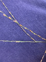 Digitaria parviflora