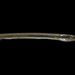 Atlantic Needlefish - Photo (c) Alex R, some rights reserved (CC BY-NC), uploaded by Alex R